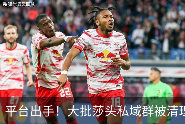 平台出手！大批莎头私域群被清理，饭圈乱象整治，全网纷纷叫好